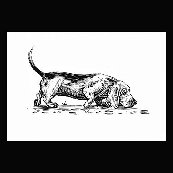 Basset Hound 2020 - Dylan Goldberger - Postcard A6 - 1607