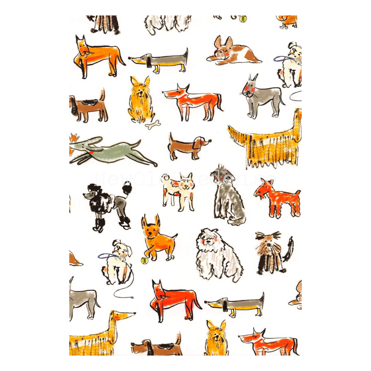 Dogs We Do Adore! 2020 - Mokshini - Postcard A6 - 1607 - 2