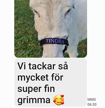 Fina åsnan Tindra i sin nya grimma, så söt