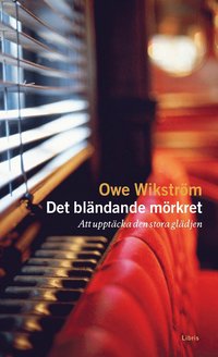 Det bländande mörkret : Att upptäcka den stora glädjen av Owe Wikström