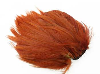 Ewing Deceiver Patch