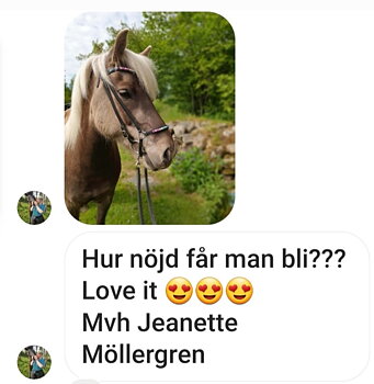  Tack för fina kommentarer & bilder  på rengdågs träns från Nordic-Hors från oss. Så snygt på din fina silver islandshäst 