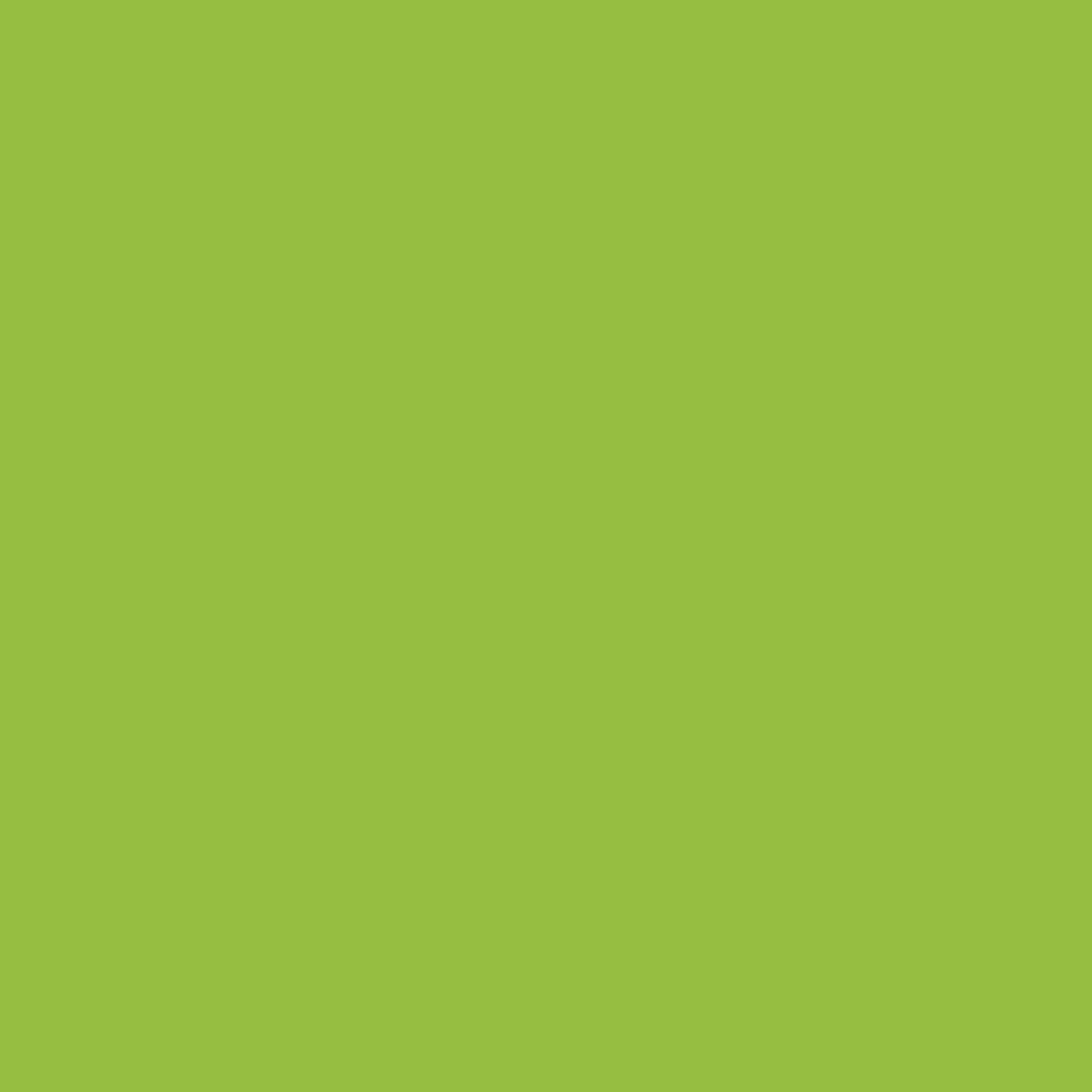 RIBB  - LIME GREEN