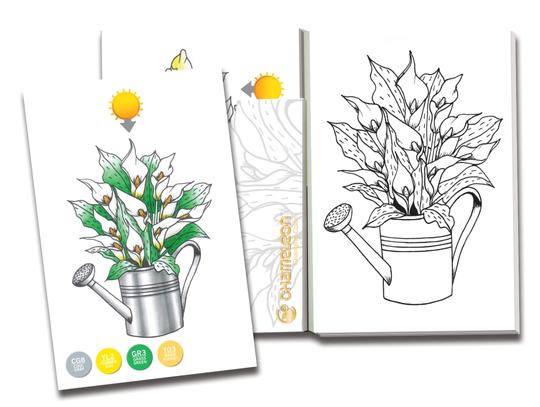 Chameleon Color Cards - Flowers - 6