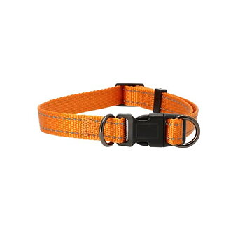 Hundhalsband justerbart Iris orange (olika storlekar)