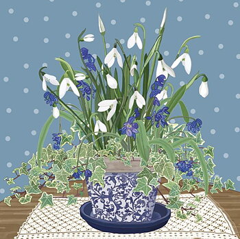 Mig Wyeth : Snowdrops and Scillas - Kort med kuvert