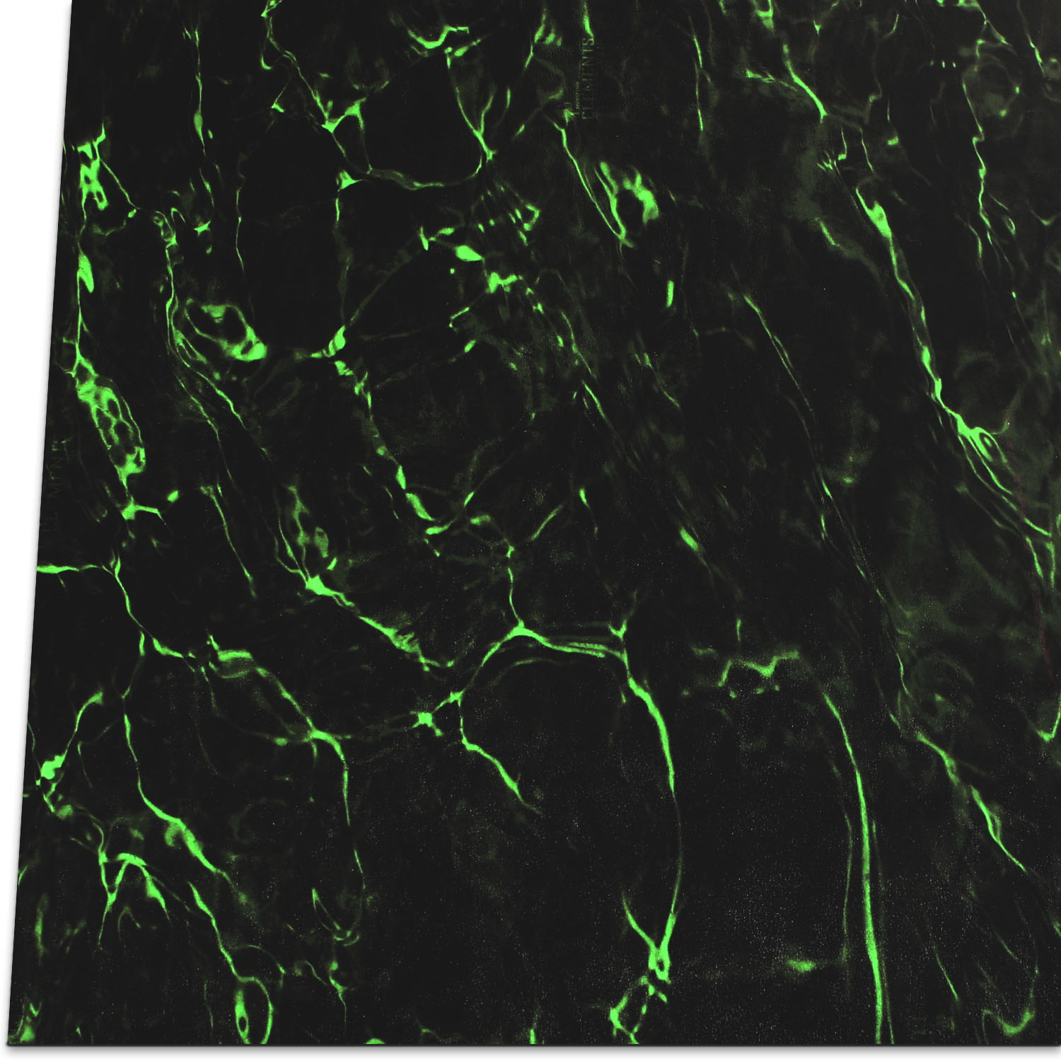 Kydex Mossy Oak - Elements Aqua Zombie 2,0 mm