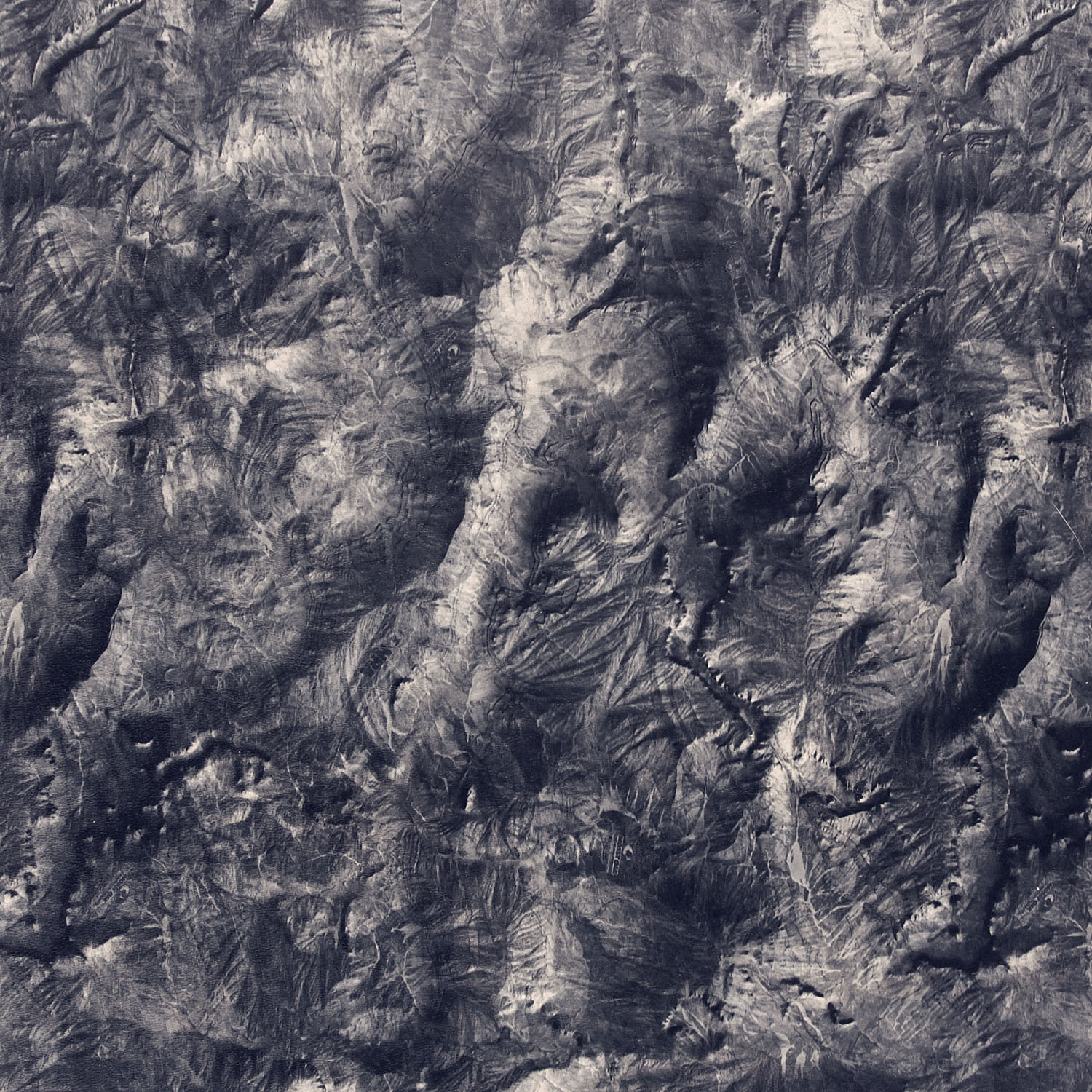 Kydex Mossy Oak - Overwatch 2,0 mm