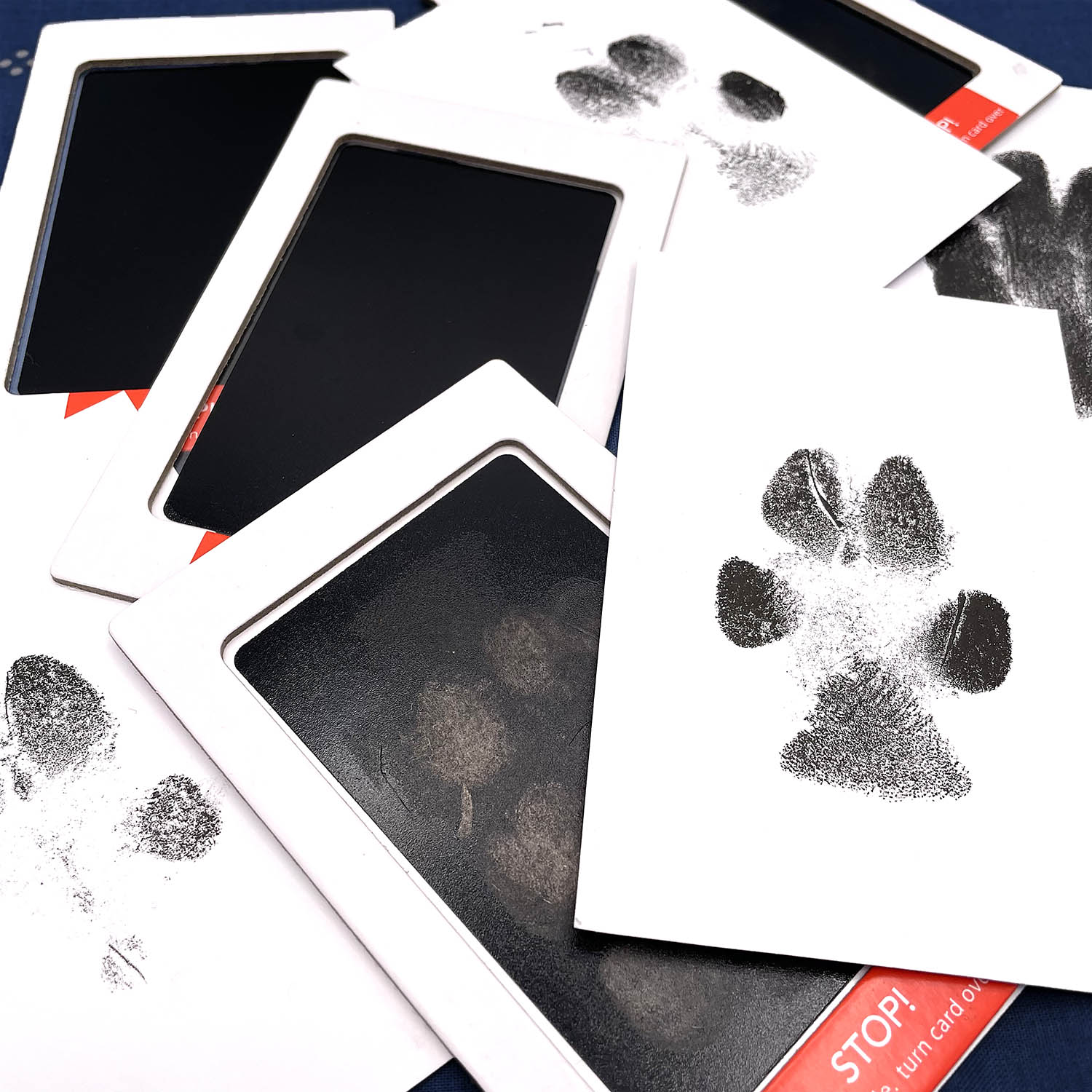 Print pad paws - 6