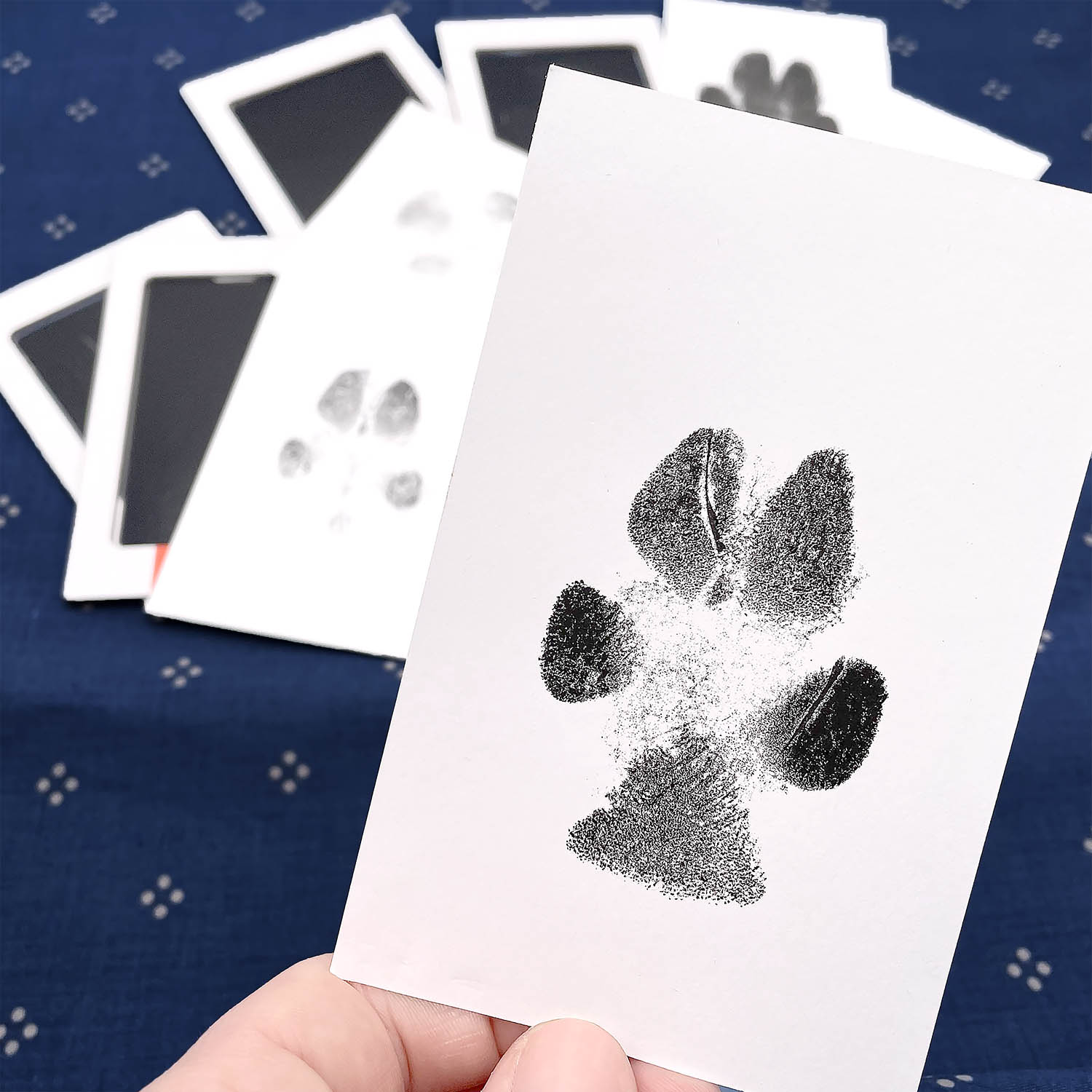 Print pad paws Paw print of your pet
