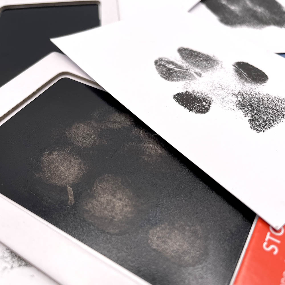 Make a print of the dog or cat paw