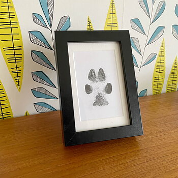 Print pad paws dog cat memory