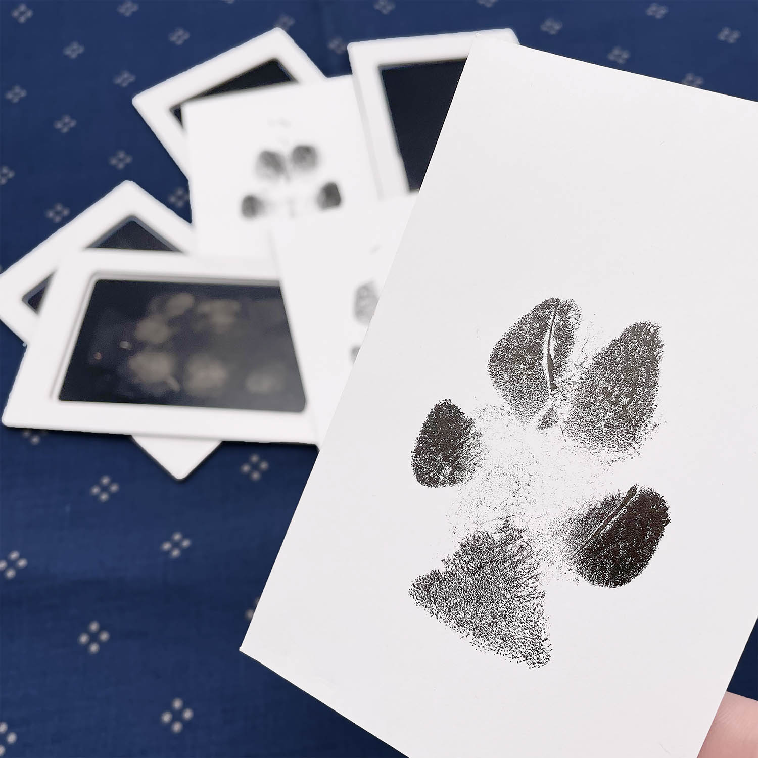 Inkless paw print on sale pad