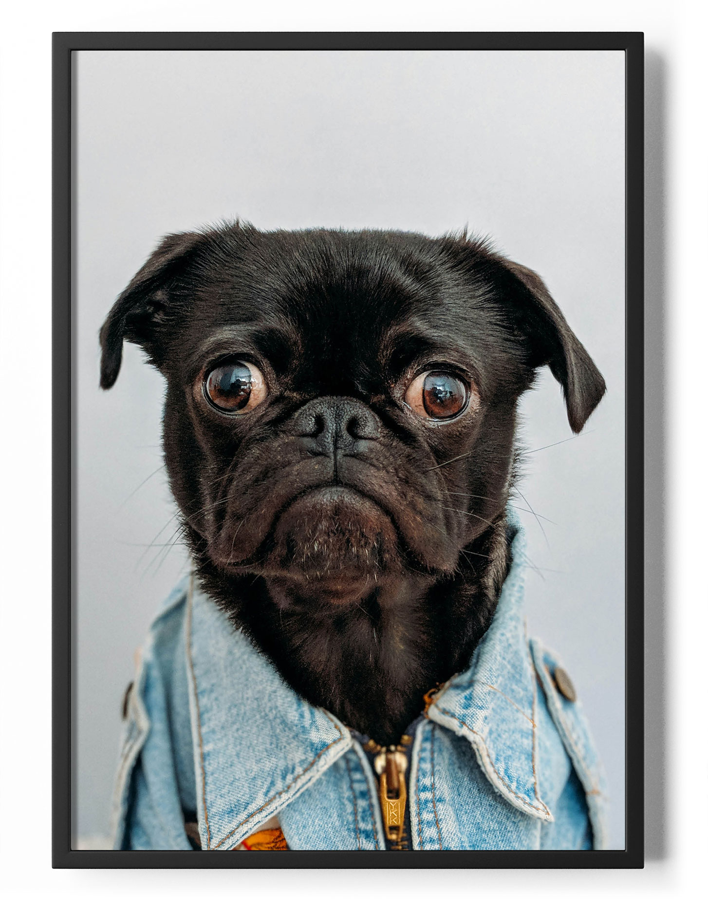 Dog Portrait JustPosters