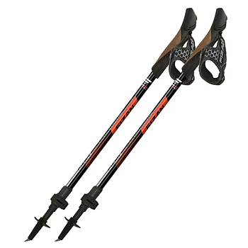 Fizan FR3 Revolution pro 3 Trekking pole
