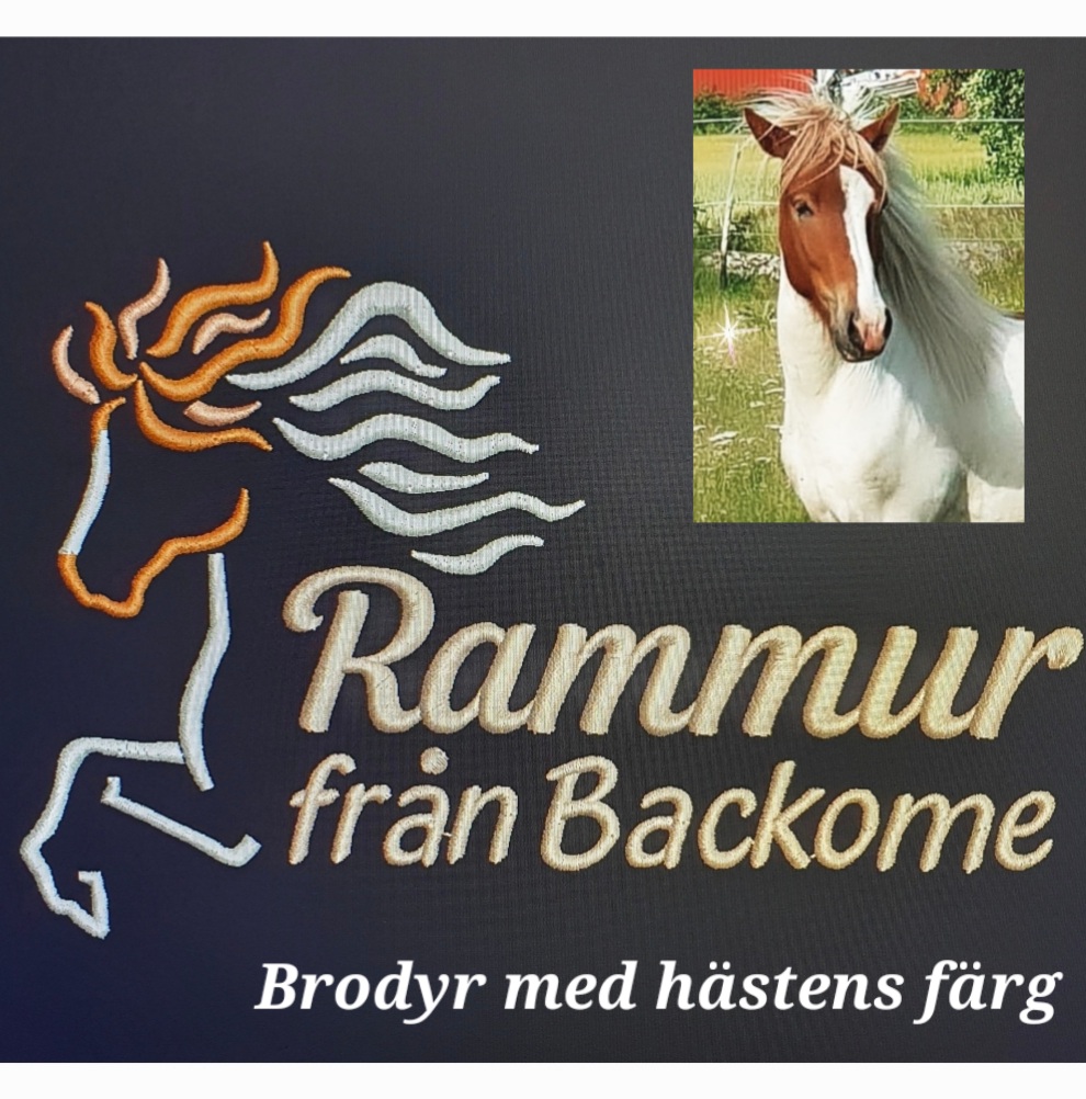 Sadelöverdrag  brodyr med din häst egna färger se bilder