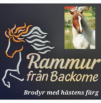 Sadelöverdrag  brodyr med din häst egna färger se bilder
