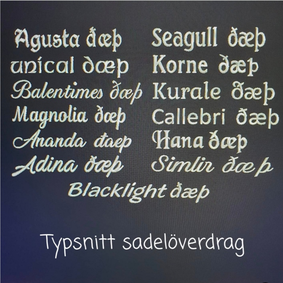 Sadelöverdrag  brodyr med din häst egna färger se bilder - 4
