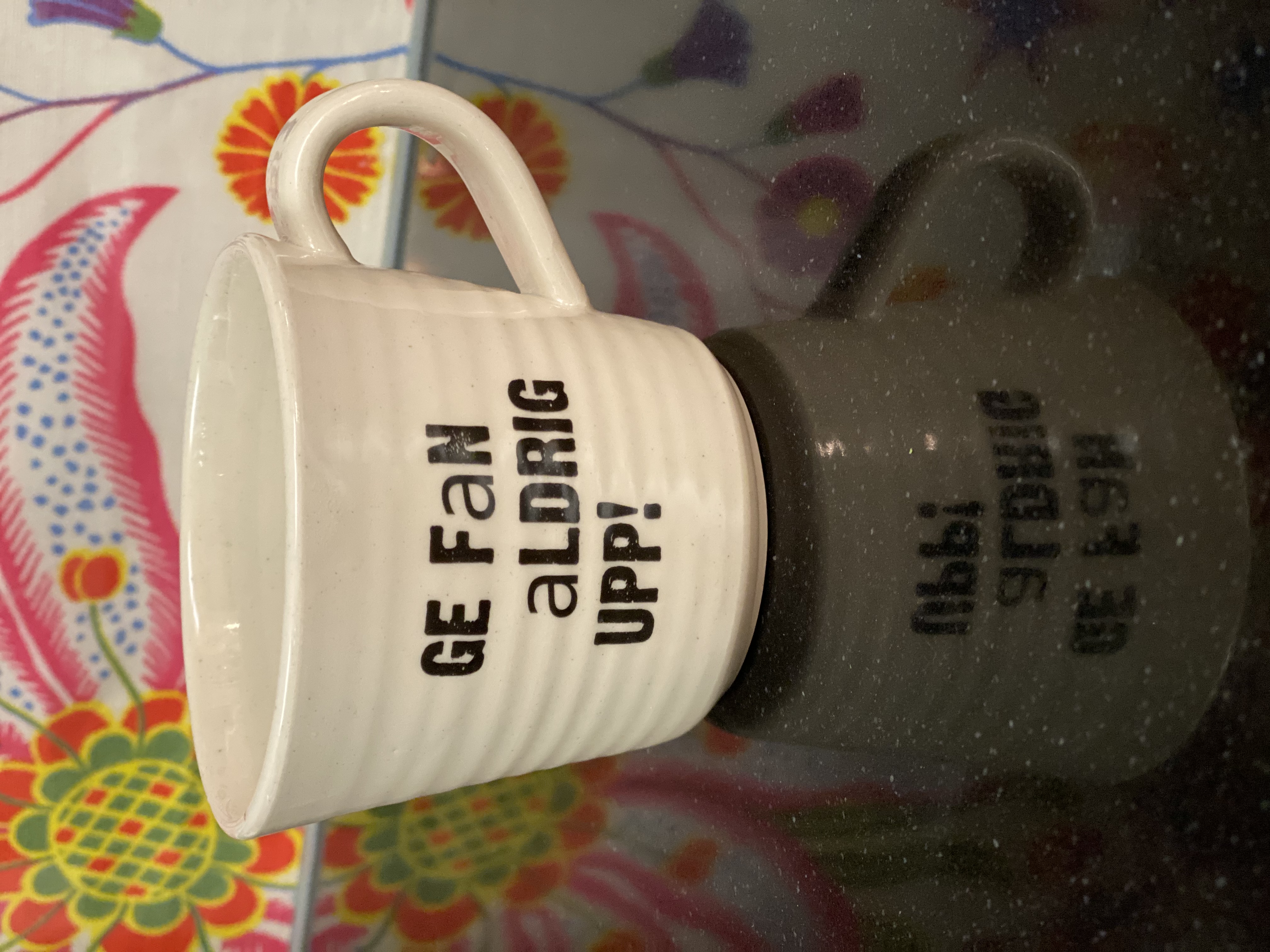 Mugg / Ge fan aldrig upp