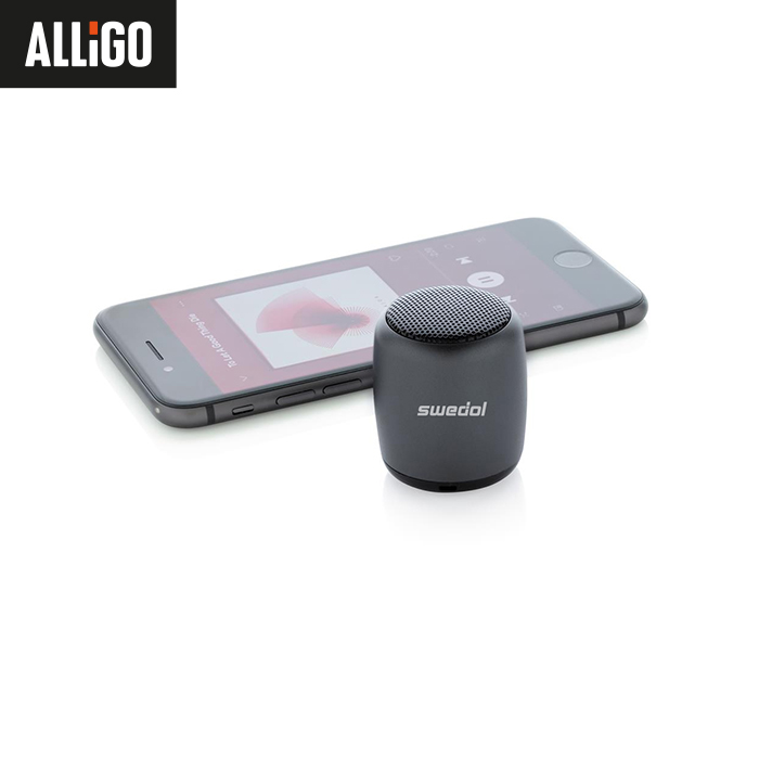 Speaker Mini Swedol