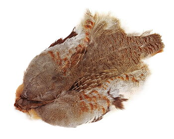 HUNGARIAN PARTRIDGE SKIN #1 NATURAL