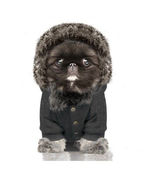 Milk & Pepper Comet Sweat Hoodie - 2