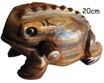 Guiro Groda - Rytminstrument  - 20cm