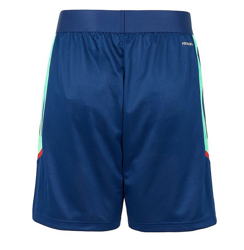 2021/2022 ARSENAL ADIDAS PRO TRAINING SHORTS - 4