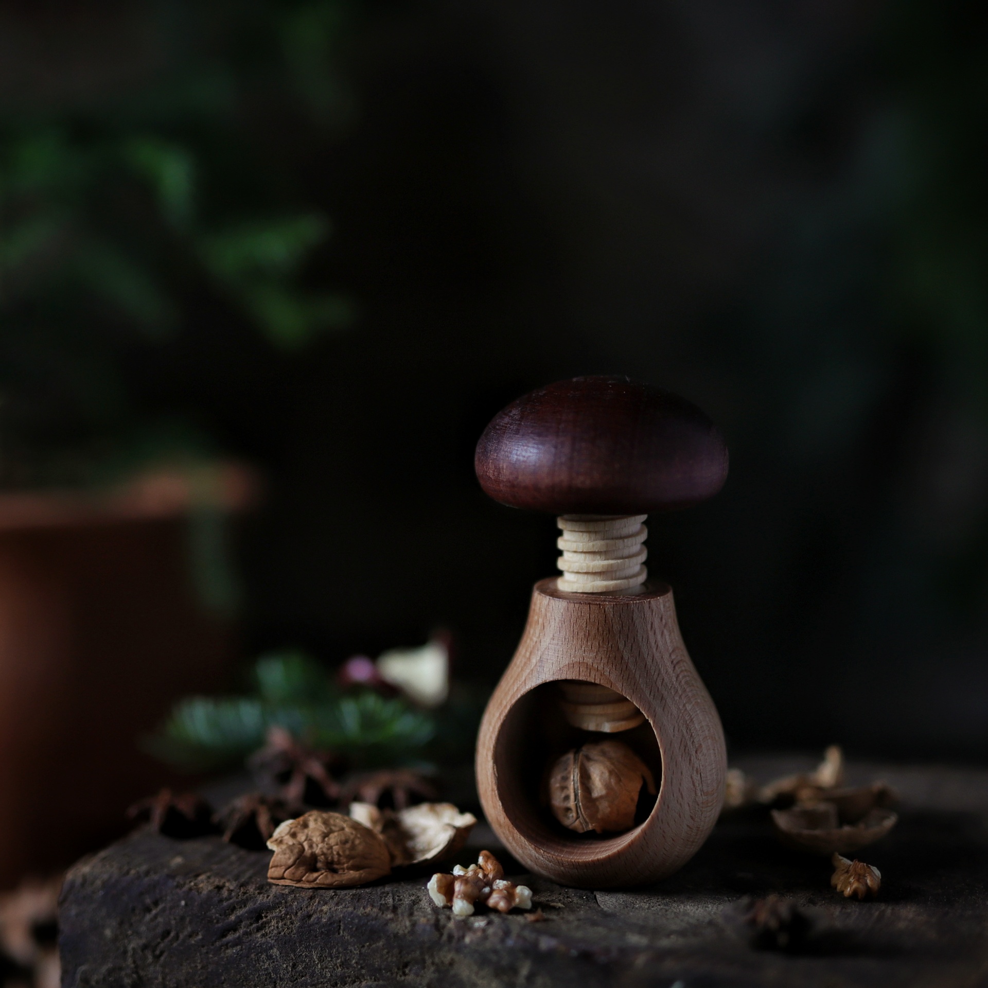 Nötknäckare svamp