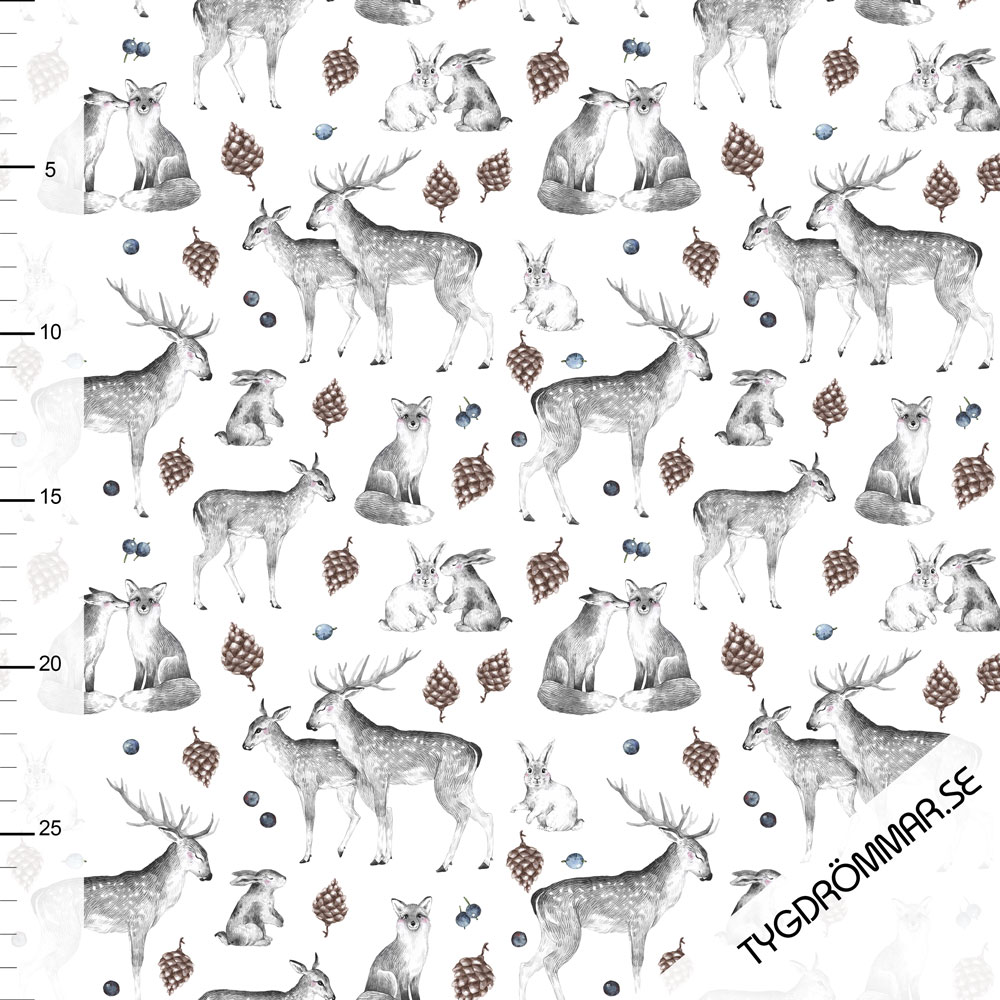 FALL WOODLAND