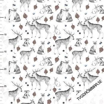 FALL WOODLAND
