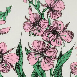 Esteri Tomula (Botanica 1982) Fireweed Wall Plaque 13 cm
