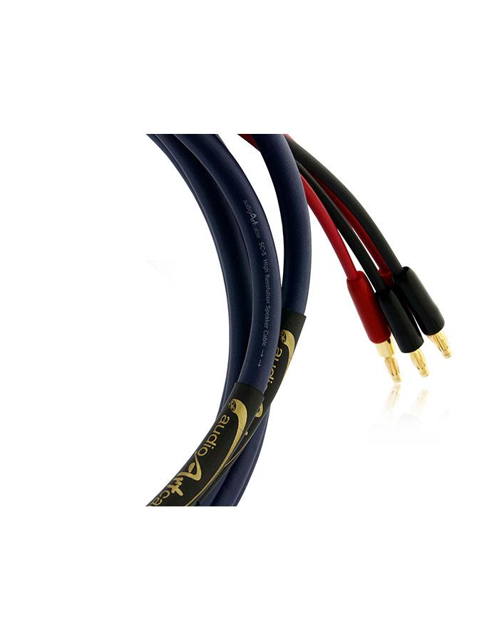 AAC SC-5 Classic Speaker Cable Pair Gold Banana - 4