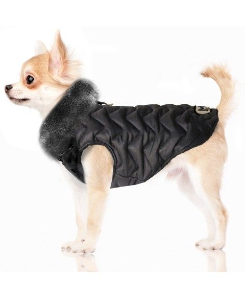 Milk & Pepper Zag Dog Jacket - 2