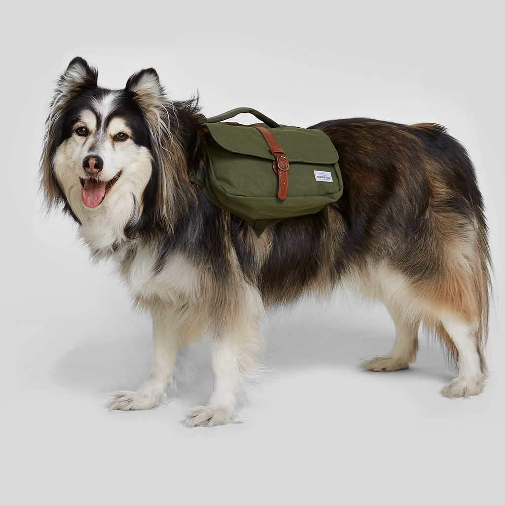 Wolf Repbulic Backpack For The Dog - 2