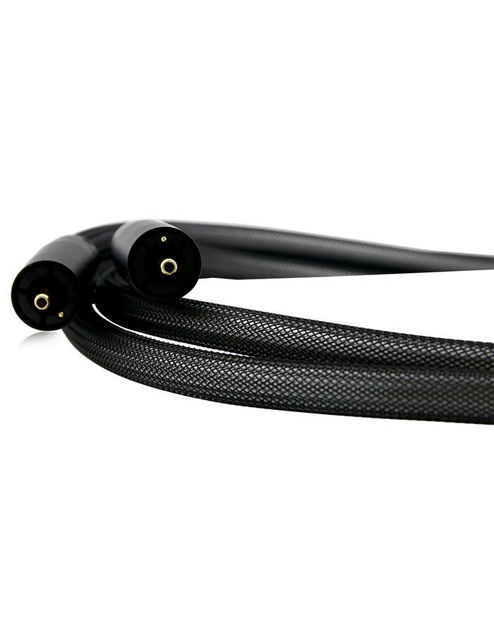 AAC IC-3 SE2 Interconnect Cable Pair Gold RCA - 4