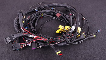 Contacted cable harness for GM LS GEN III/IV incl. MaxxECU RACE kit