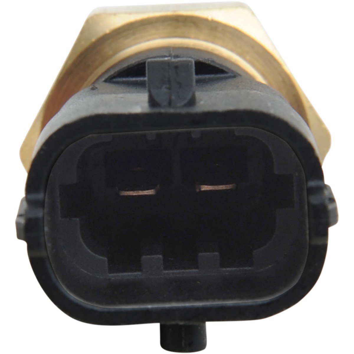 EFI temp sensor  - 2