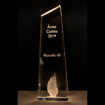 Obelisk Award 24x8x5 cm - 2