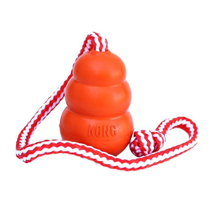 KONG Aqua Large