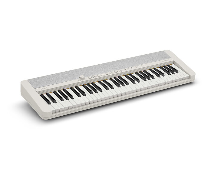 Casio CT-S1BK Casiotone White
