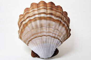 Scallop Pillow 36x36 cm