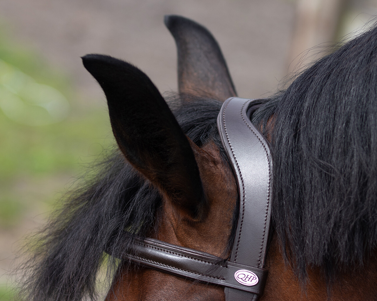 Riding cavesson QHP, brown - 5