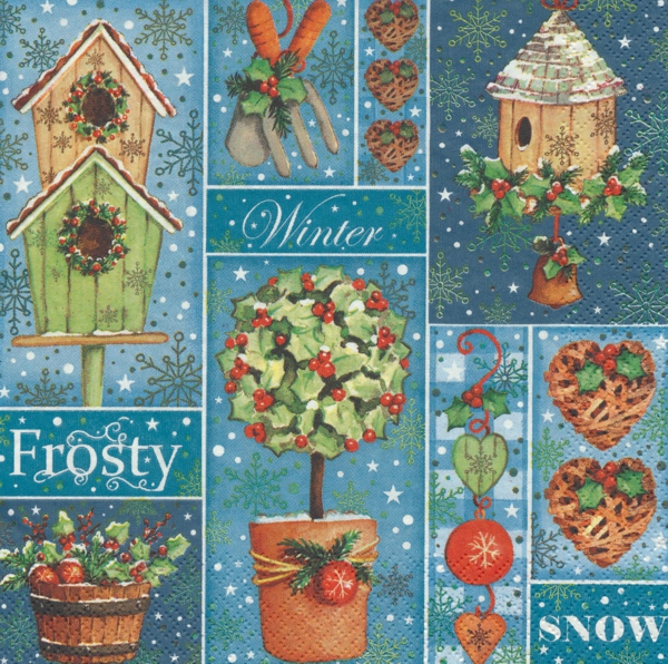 Frosty Winter