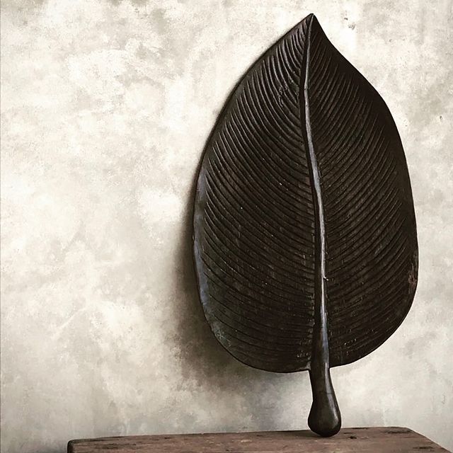 Träblad palm