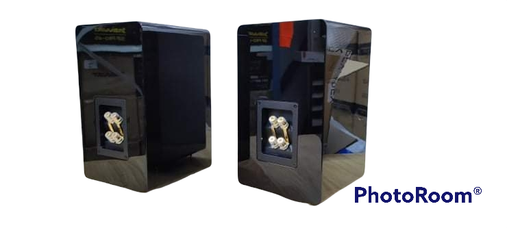 ESB 8000 SERIES 2-WAY BOOKSHELF  SPEAKER BOX - 5