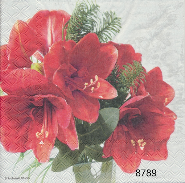 Amaryllis