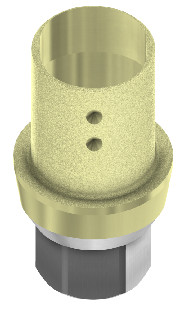 ELLIPTIBase® 3.0 Internal Hex BH -flat