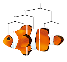 Ocean Mobile Clownfish