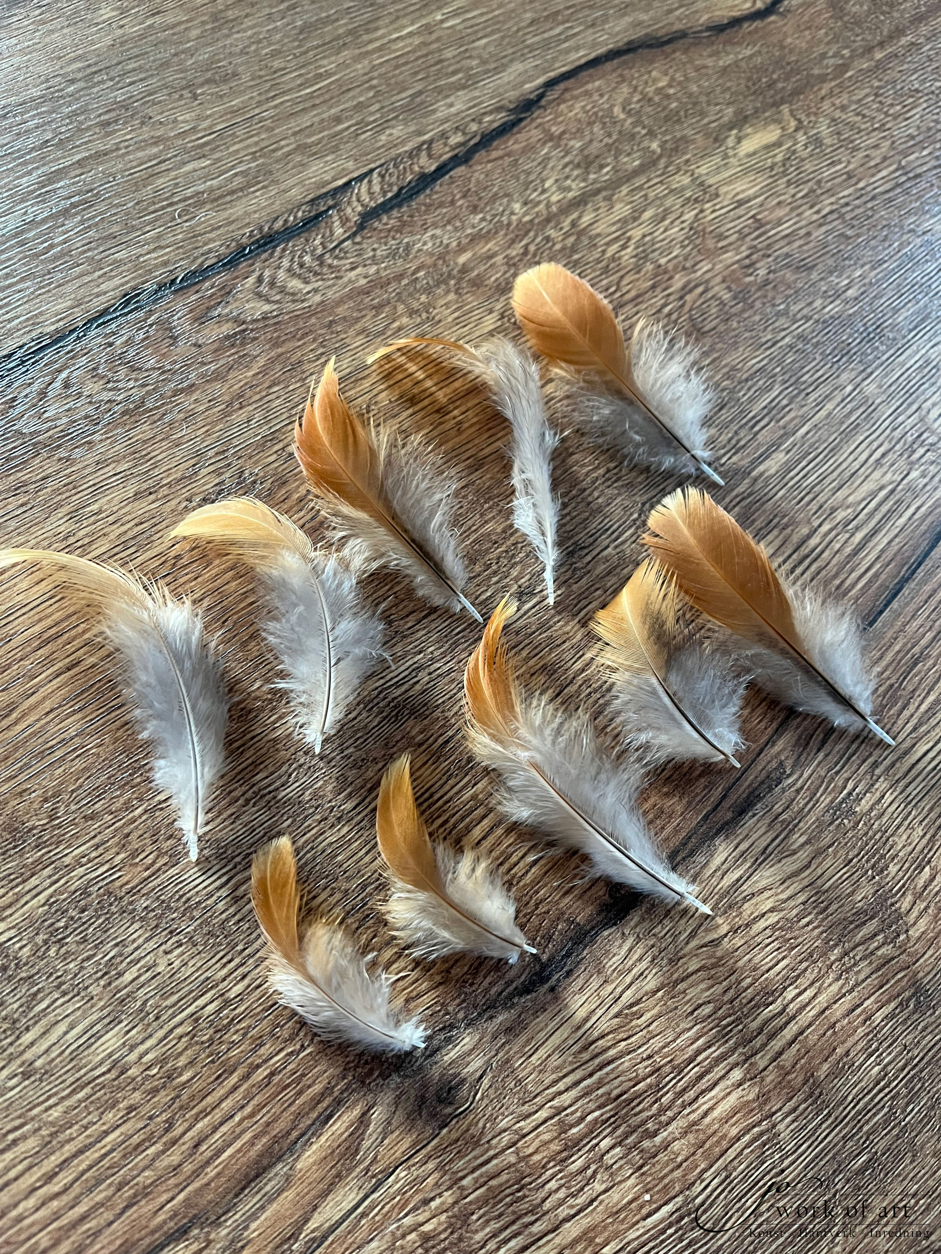 Guldbruna små fjädrar med grå/vitt dun, 4-9cm, 10-pack
